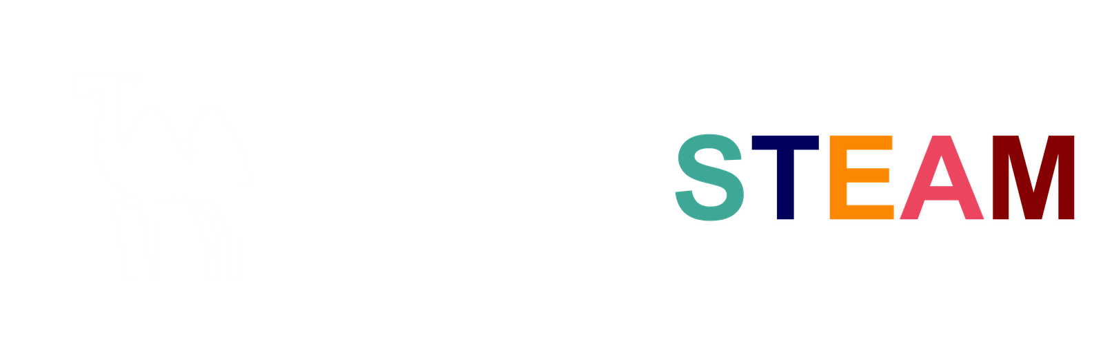 Camel STEAM
